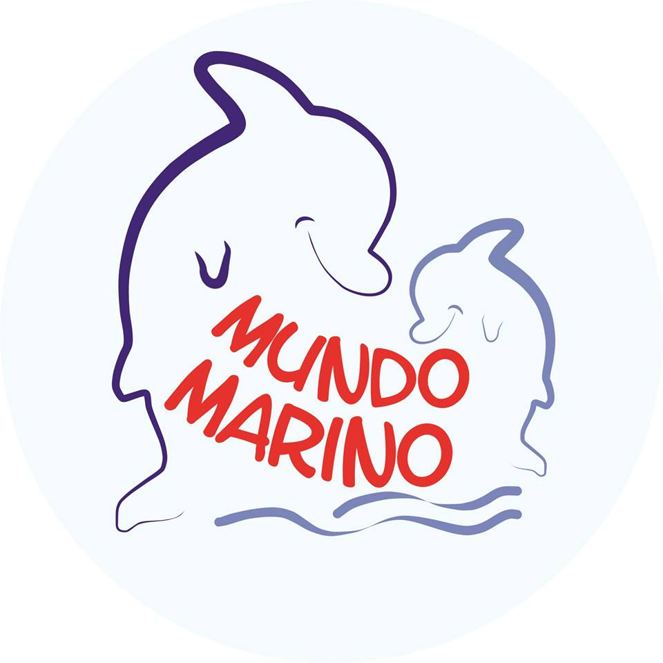 Niepubliczne przedszkole językowe Mundo Marino